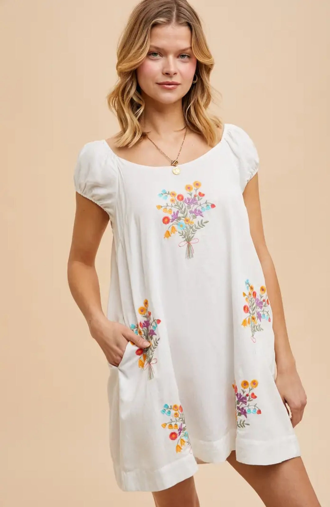 A New Arrival Embroidered Floral Mini Dress