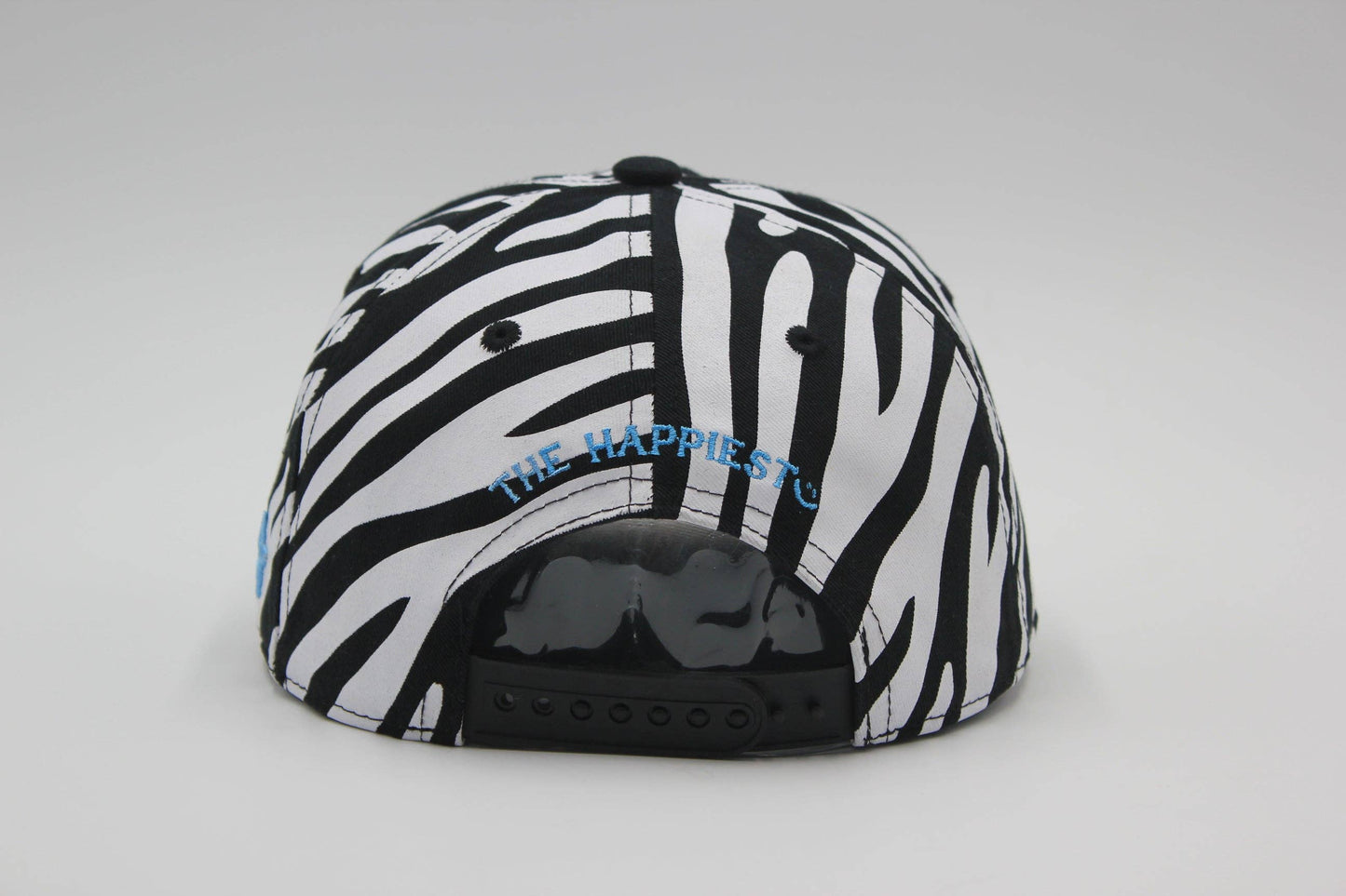 I'm With The DJ: Zebra