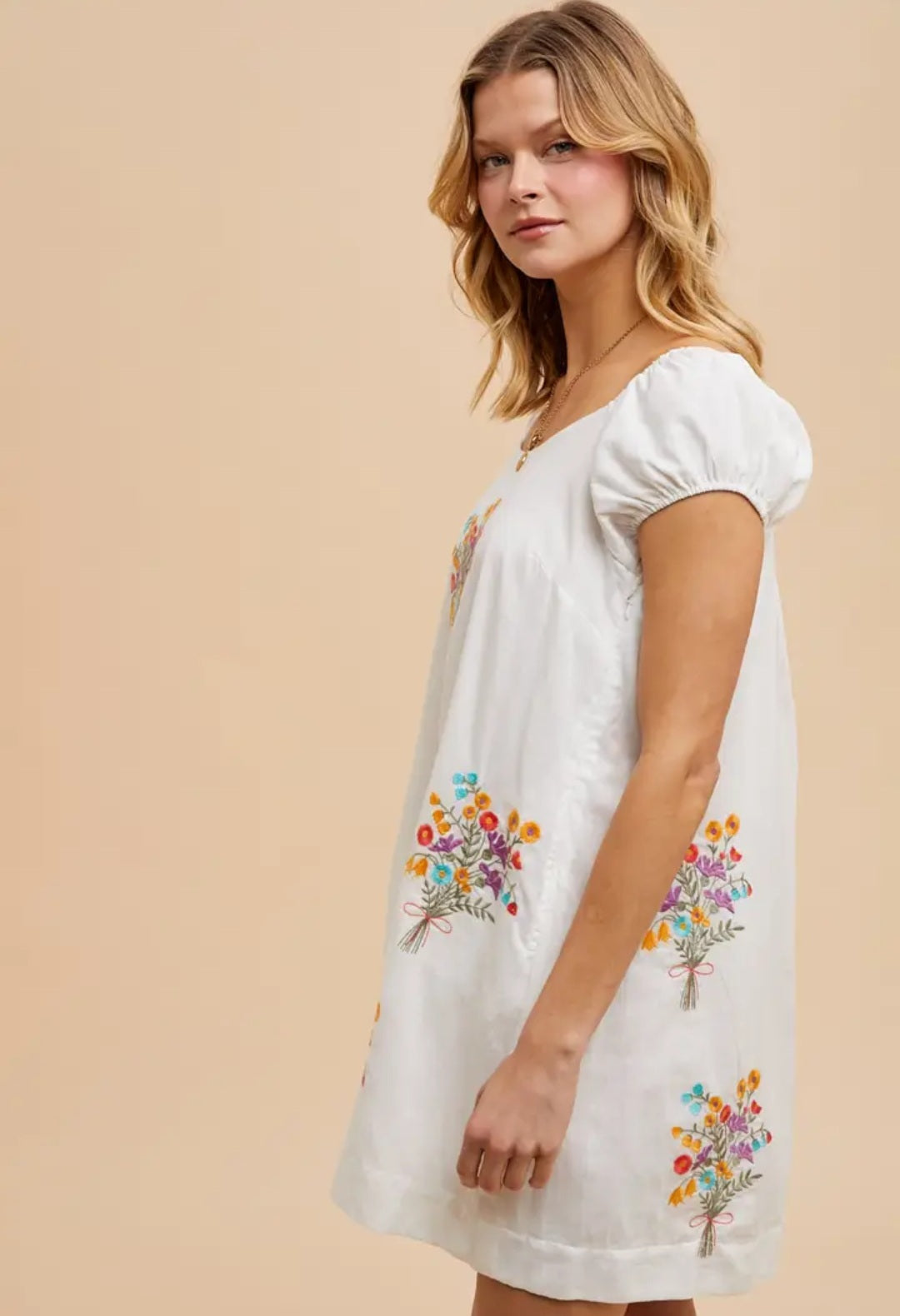 A New Arrival Embroidered Floral Mini Dress