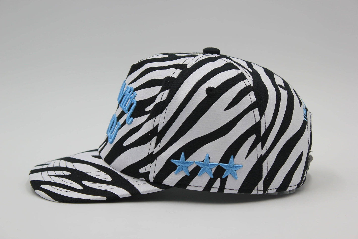 I'm With The DJ: Zebra